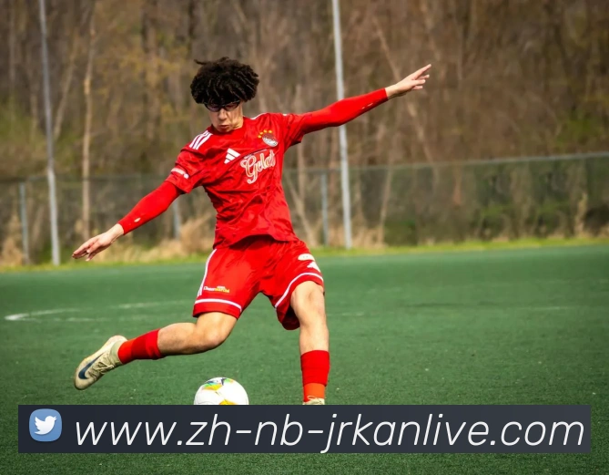 App Interface Preview